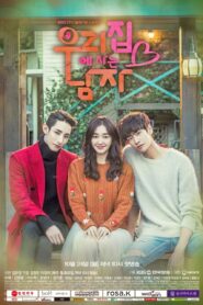 Sweet Stranger and Me (2016) Korean Drama