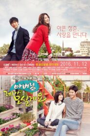 Father, I’ll Take Care of You (2016) Korean Drama