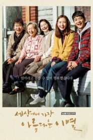 The Most Beautiful Goodbye (2017) Korean Drama