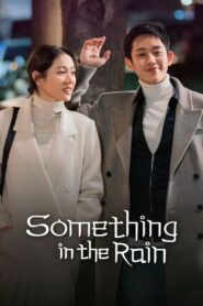 Something in the Rain (2018) Korean Drama