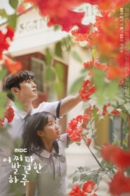 Extraordinary You (2019) Korean Drama