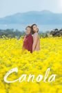 Canola (2016) Korean Movie