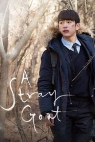 A Stray Goat (2017) Korean Movie