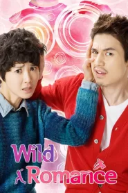 Wild Romance (2012) Korean Drama