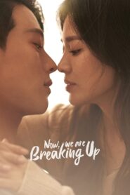 Now, We Are Breaking Up (2021) Korean Drama