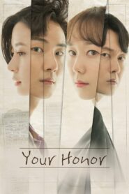 Your Honor (2018) Korean Drama