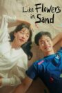 Like Flowers in Sand (2023) Korean Drama