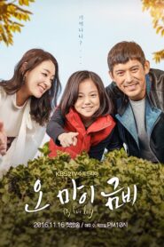 My Fair Lady (2016) Korean Drama