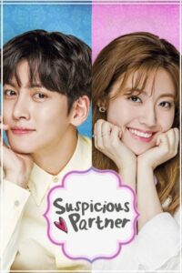 Suspicious Partner (2017) Hindi Dubbed Drama