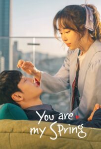 You Are My Spring (2021) English Korean Drama