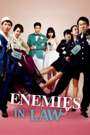 Enemies In-Law (2015) Hindi Korean Movie