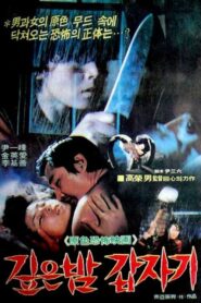 Suddenly in the Dark (1981) Korean Movie