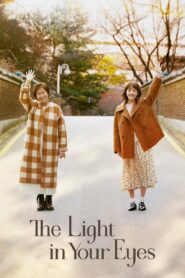 The Light in Your Eyes (2019) Korean Drama