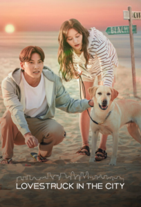 Lovestruck in the City (2020) English Korean Drama